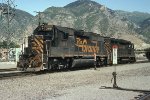 DRGW 3118 at Provo